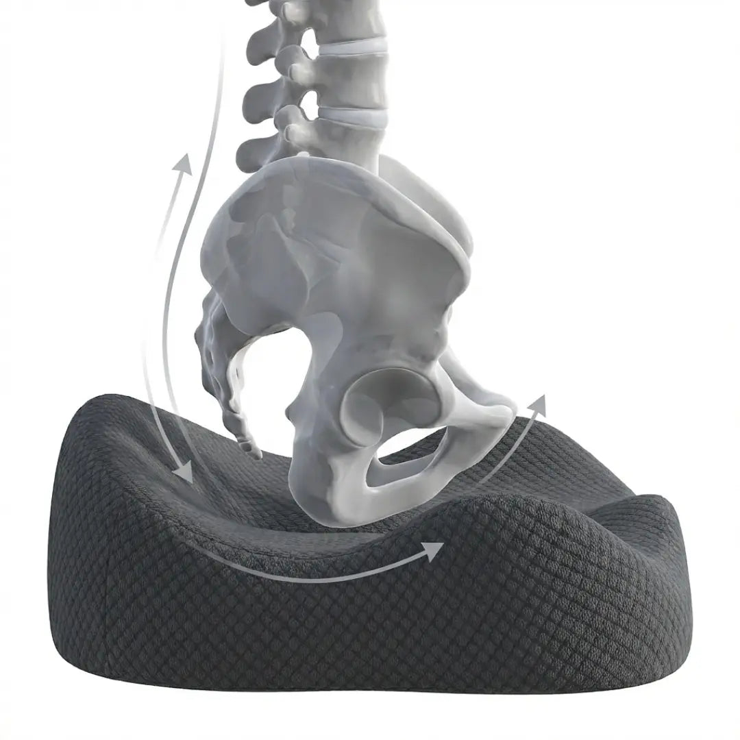 KERNO Arc Set – Ergonomisches Sitzkissen & Lendenwirbelstütze